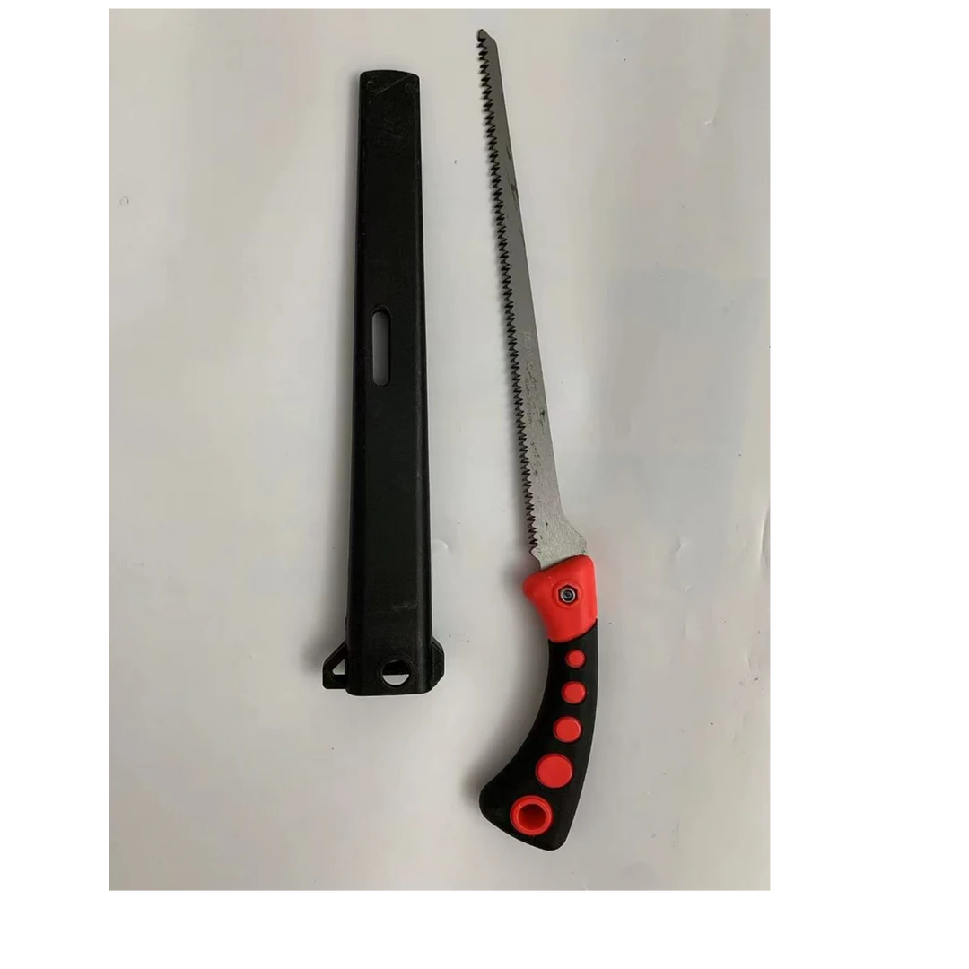 佐川郎细枝凤尾锯