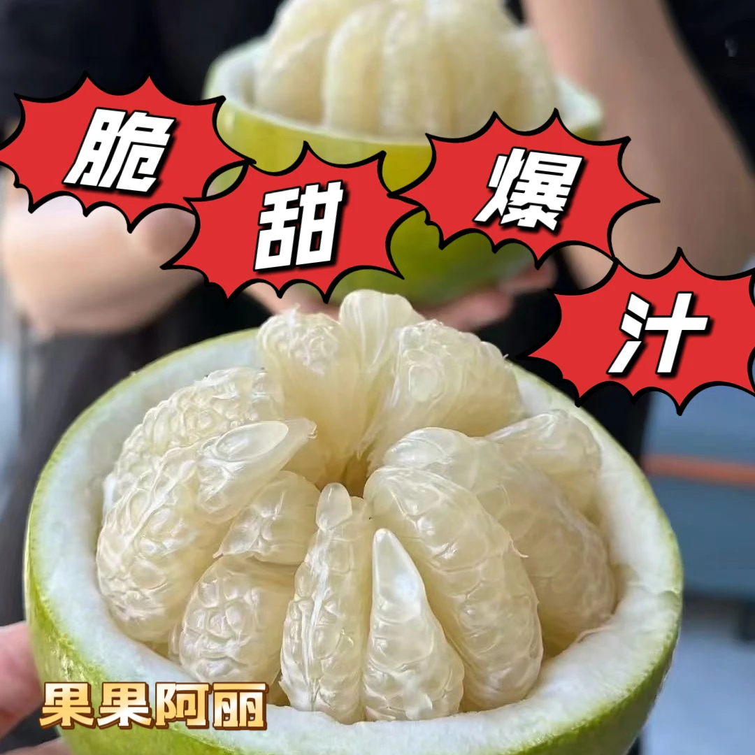 正宗安江雪峰冰糖柚湖南怀化小苦柚安福金兰柚老树新鲜水果小柚子