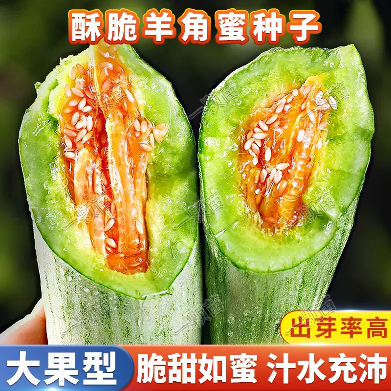 水果羊角蜜甜瓜种籽  阳台庭院四季花盆栽农家菜园播种植蔬菜种子