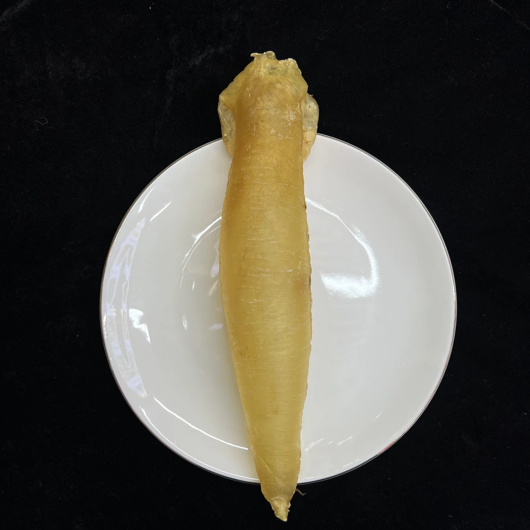 【周百润】赤嘴筒鱼胶公/母胶花胶 通用