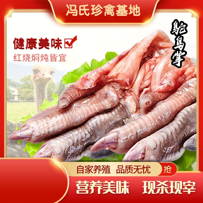 冯氏驼鸟（掌）新鲜冷冻制作美味红烧运输红烧美味制作冷冻冷链