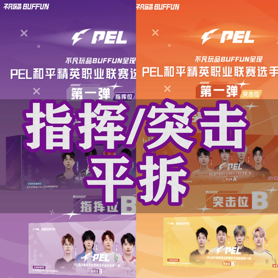 【平拆票根-突击/指挥位】 不凡玩品2024PEL职业联赛选手镭射票