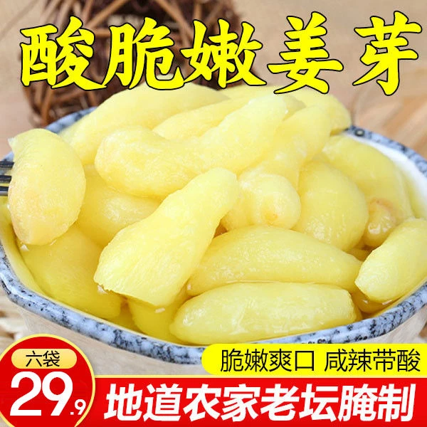 【6袋仅售29.9】酸脆嫩姜芽 山东特产 脆嫩多汁 开胃下饭 250g/袋
