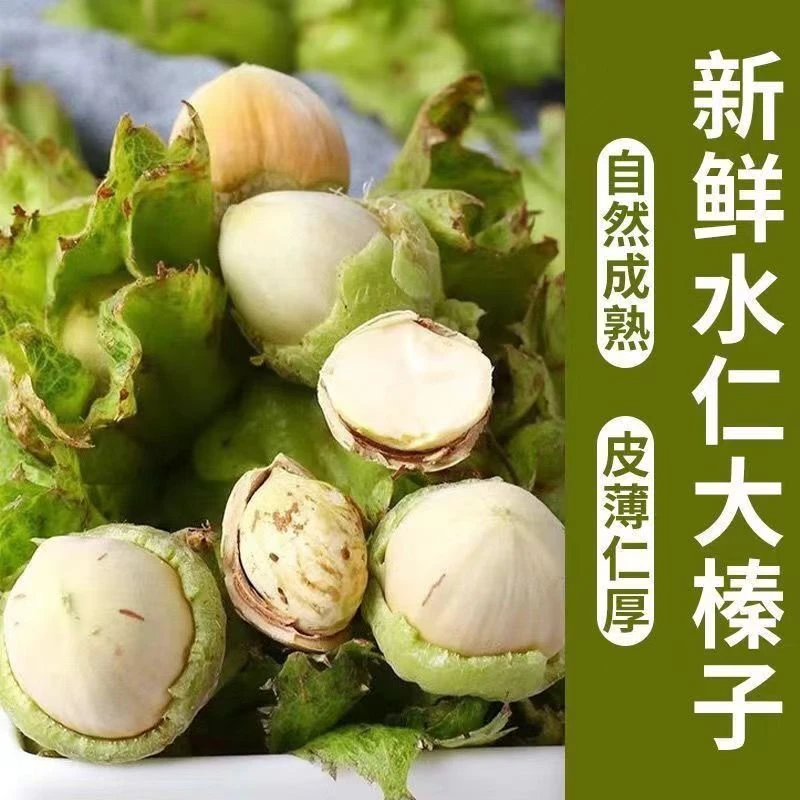 2023新鲜绿皮水仁大榛子东北特产坚果零食薄皮手剥大榛子产地直发