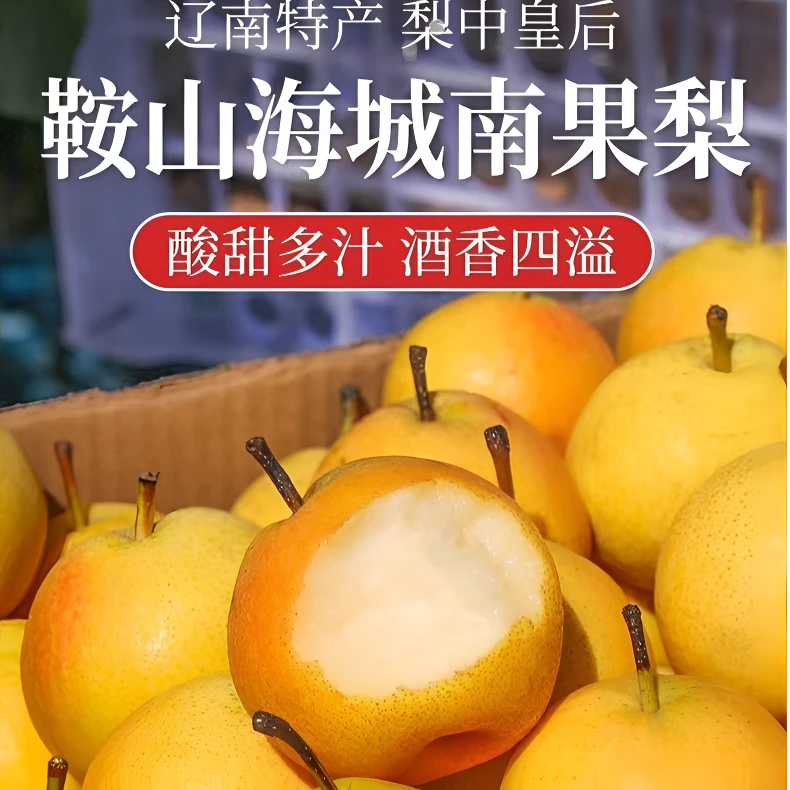 鞍山南果梨果园直发包邮净重4.5斤-5斤大个细皮红果礼盒装