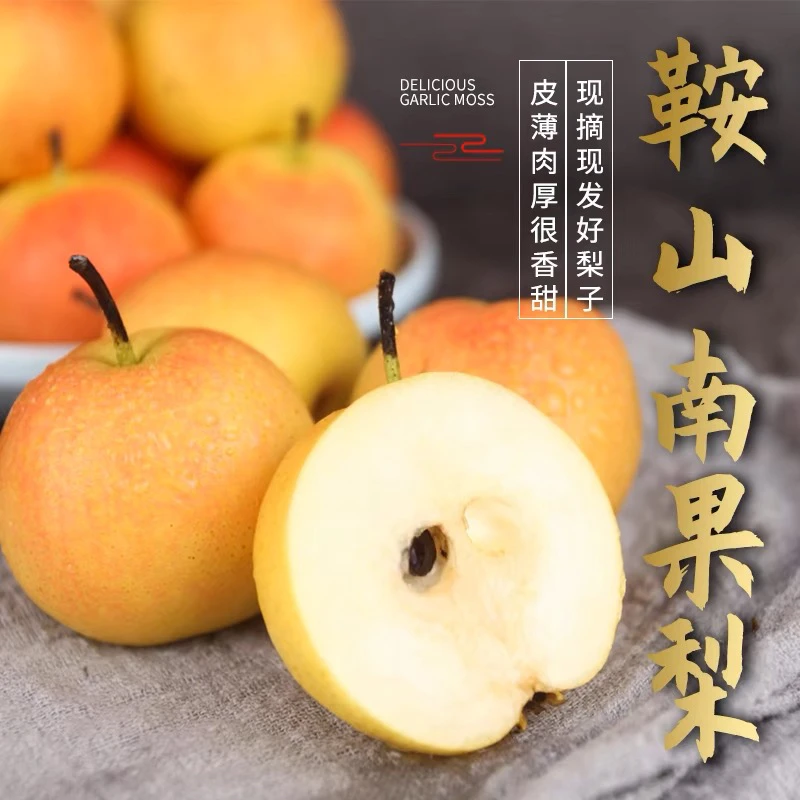 【高端礼盒装24枚】精品鞍山南国梨礼盒装香甜可口酸甜水果产地直发