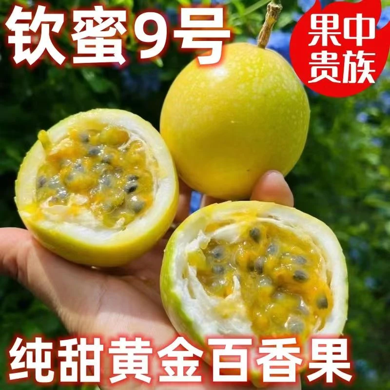 现摘钦蜜9号黄金百香果纯甜无酸新鲜应季水果3斤5斤包邮