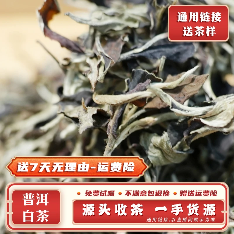 66号 100g 2023年 景谷白毫银针 白散茶 带茶样 SJ1957