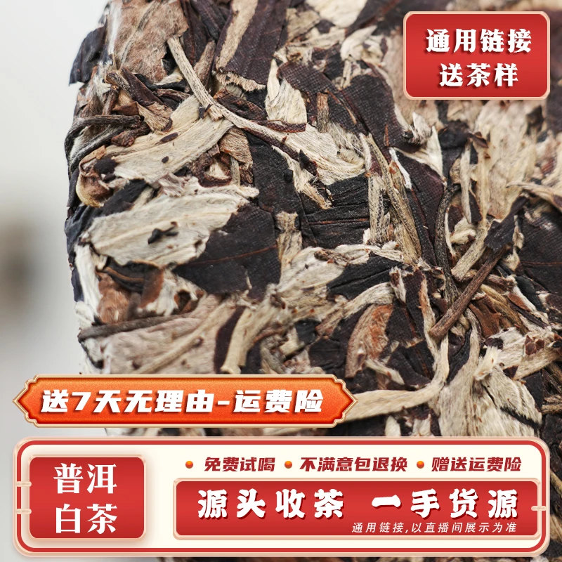 132号 200g一饼2020年 临沧章跺石产坝古树白茶饼 带茶样 SJ1227