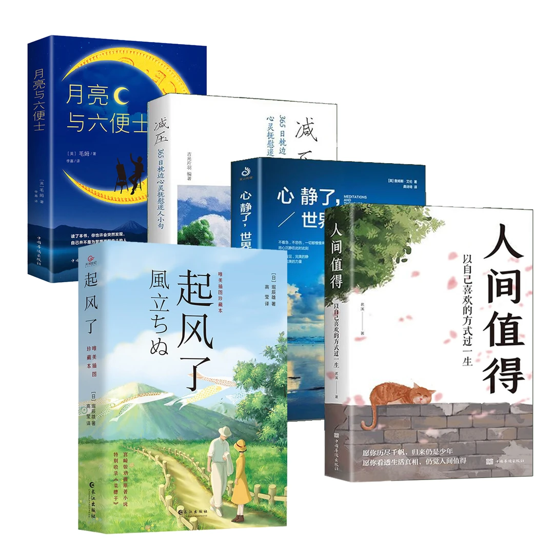 月亮与六便士+起风了+人间值得+减压+心静儿童阅读书
