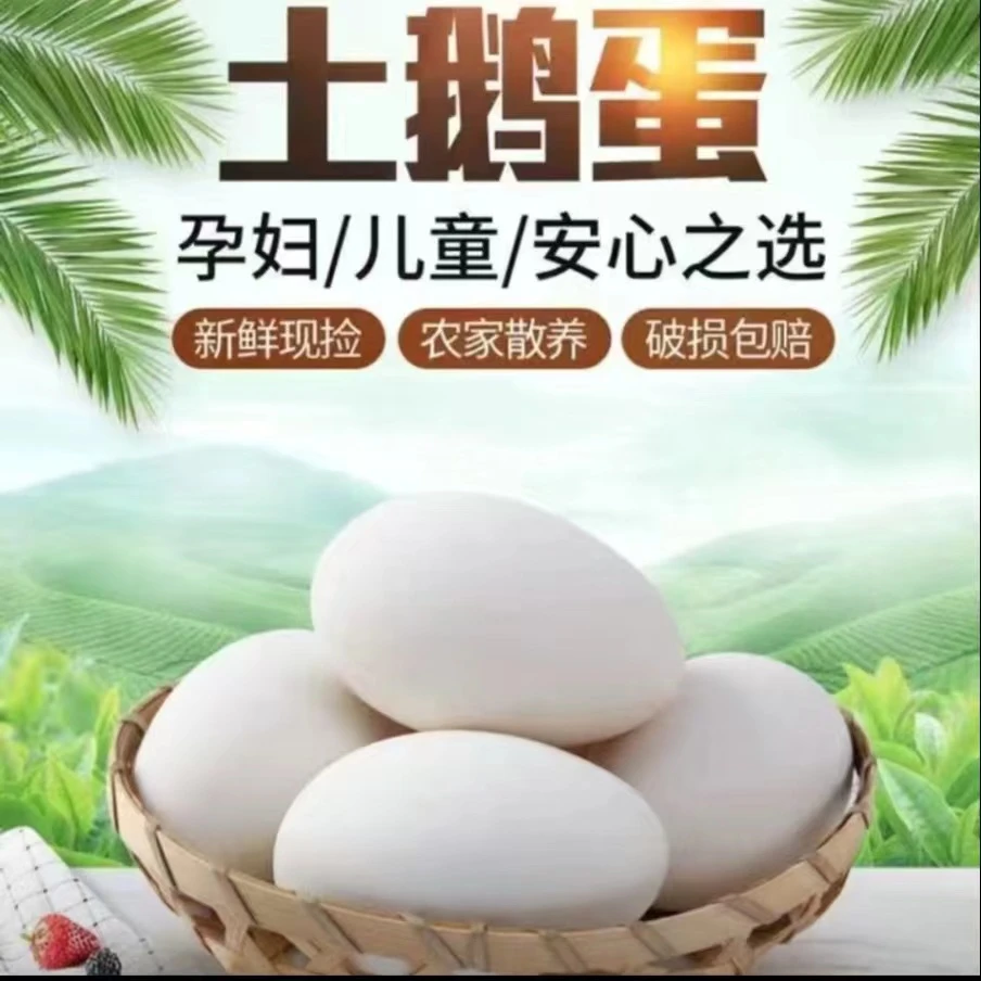【农家现捡】正宗农家土鹅蛋新鲜特大土鹅蛋批发