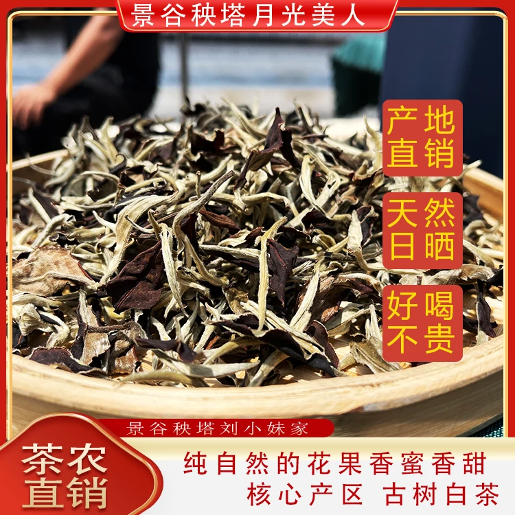 2023普洱茶景谷秧塔春茶普洱茶白茶月光白月光美人精品白茶头春