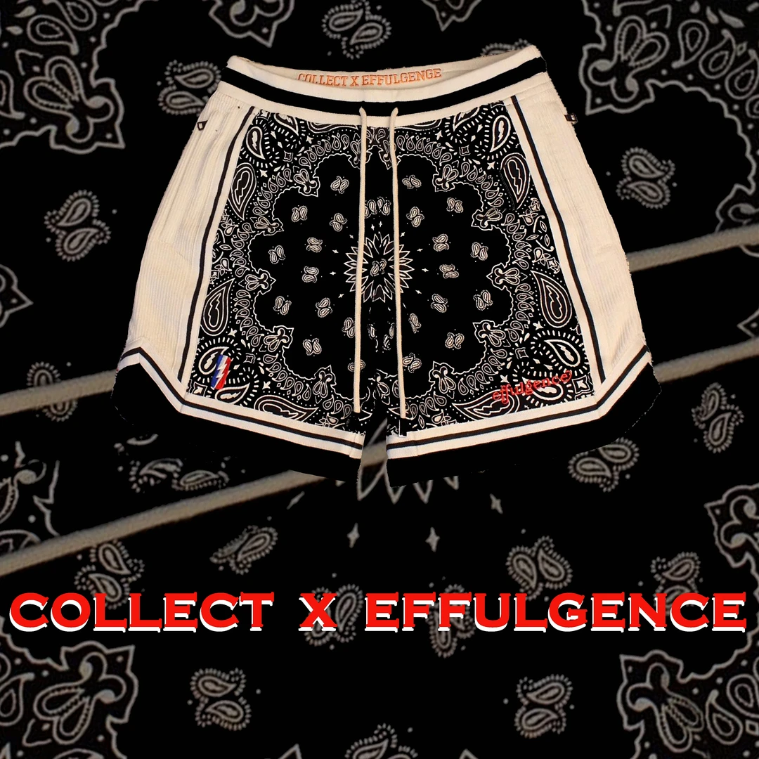 光辉系列  EFFUxCS高定线短裤腰果花美式复古重磅刺绣联名五分裤