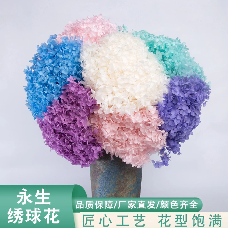 云南绣球永生花干花花束婚庆 DIY花材跨境家居装饰绣球花手工礼物