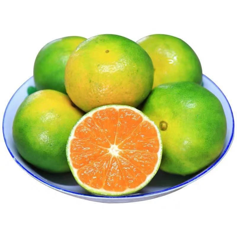 云南蜜橘2.98一斤