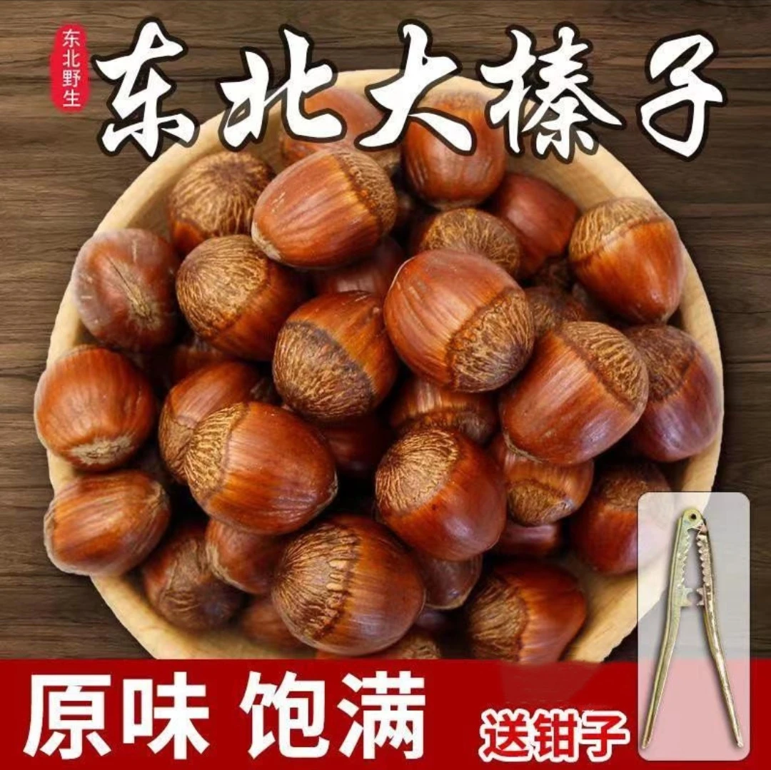 清水南山笨炒大榛子（好果率95%）营养食用