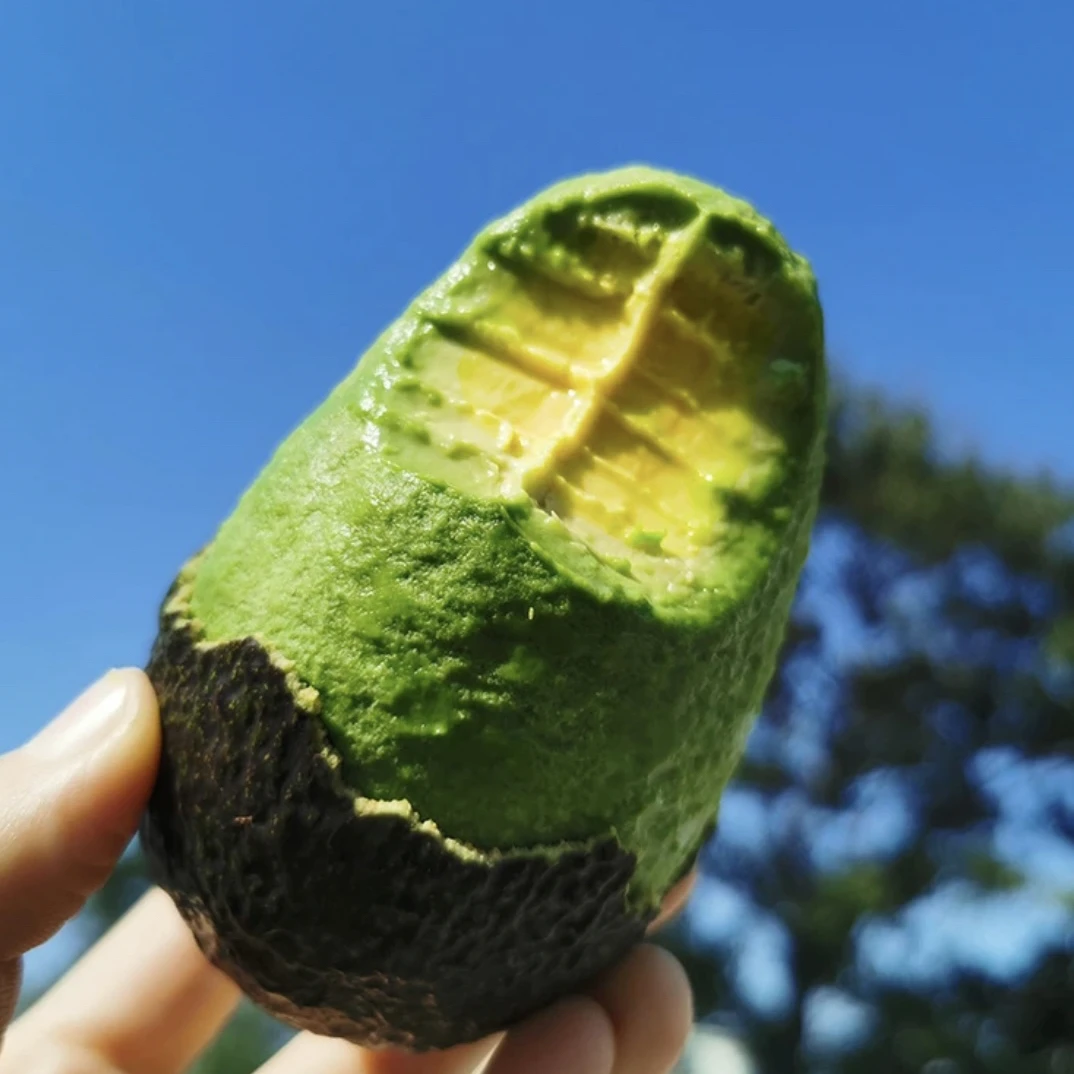 SLG【森林奶油】云南哈斯牛油果丝滑绵密7天售后期坏果包赔