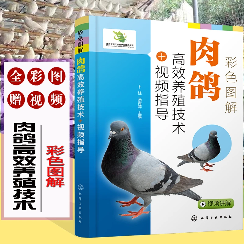 彩色图解肉鸽高效养殖技术视频指导 肉鸽养殖专业知识书籍