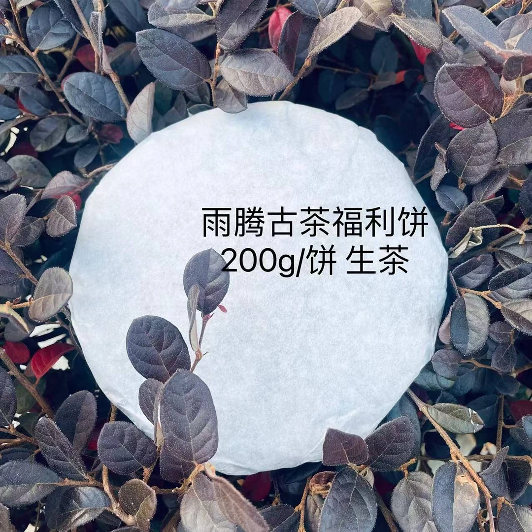 雨腾古茶 九二青饼古树普洱茶200g/饼 生茶