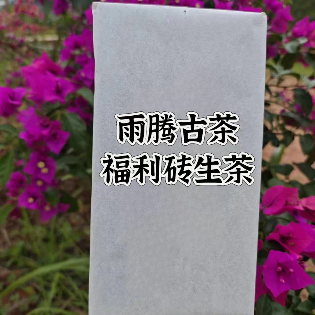 雨腾古茶  D壮古树普洱茶1000g/砖 生茶