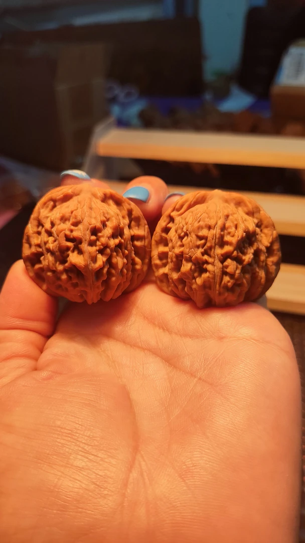 文玩核桃四座楼狮子头文玩核桃手把件