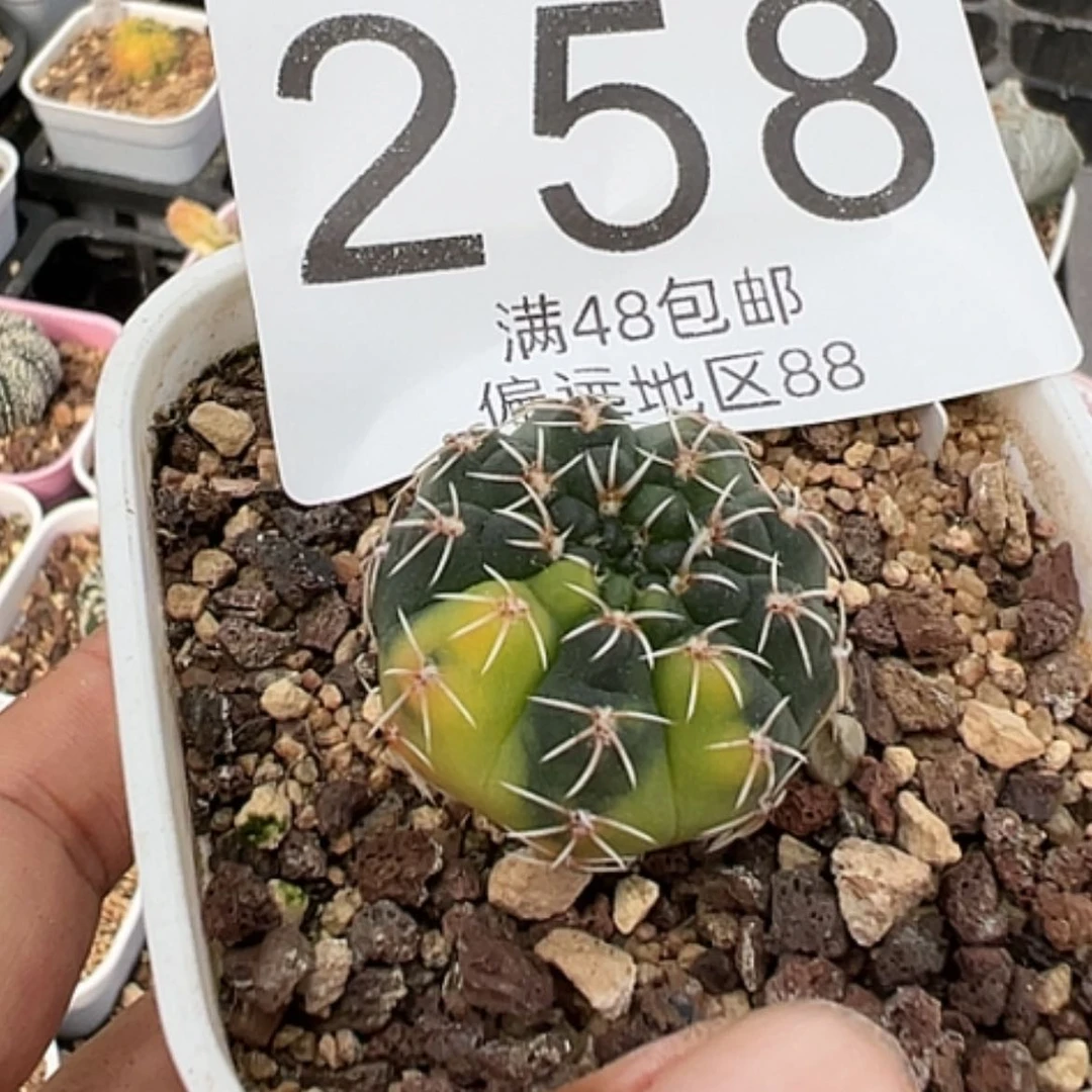 【闪购商品】?****去瑞昌玉营养土