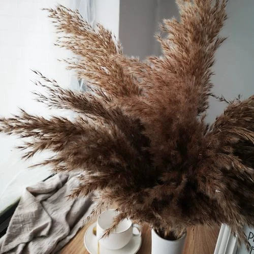 怀旧芦苇花家庭古典装饰