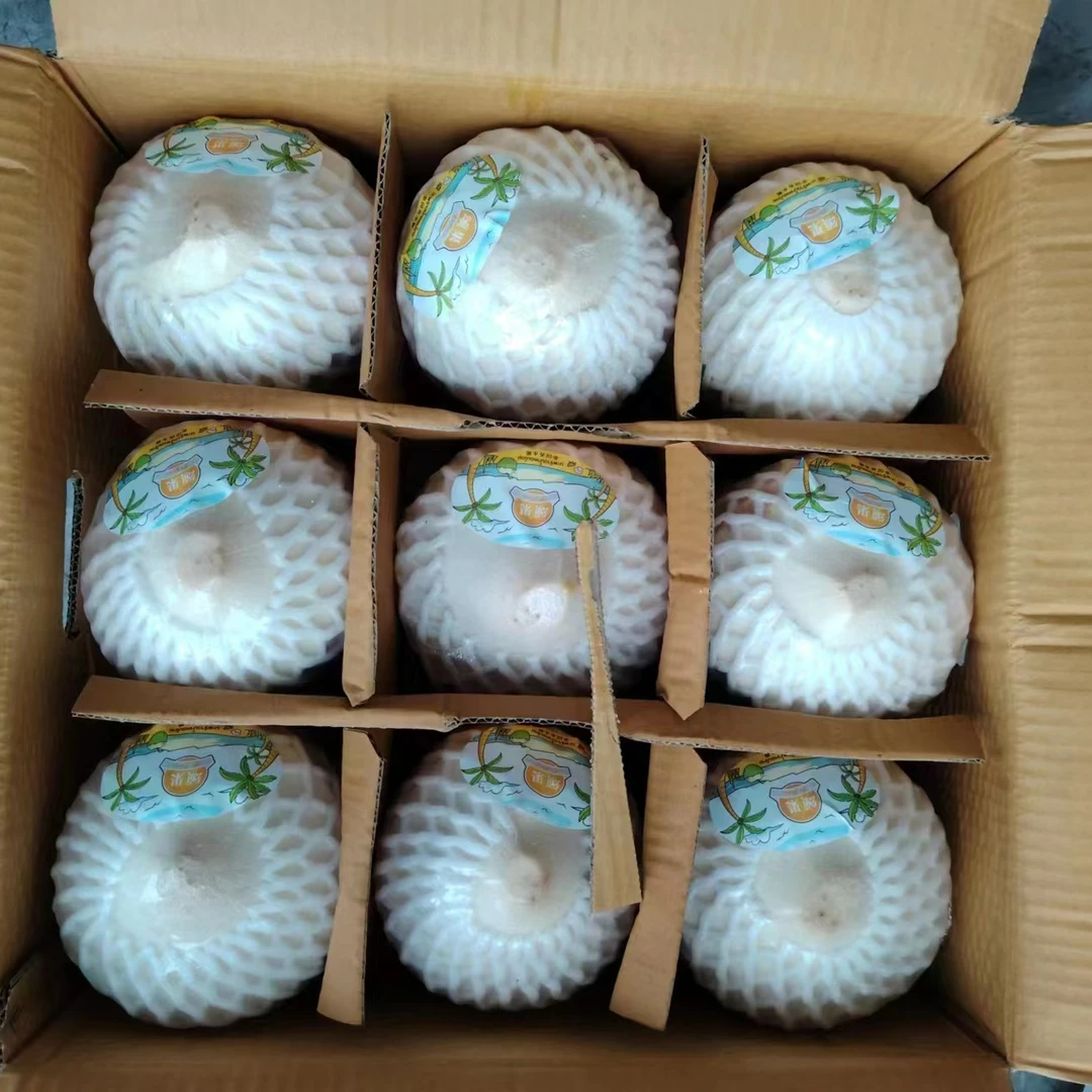 颂果【9个装】泰国丹嫩沙多进口椰皇椰青大果900-1100g天然椰子鲜嫩