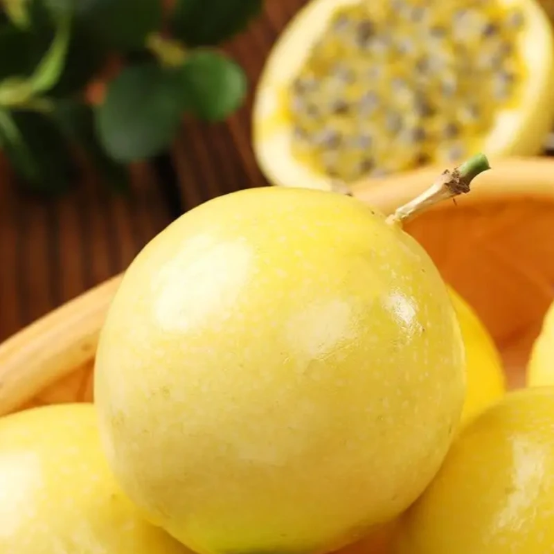 湛江乡村百香果果园基地百香果