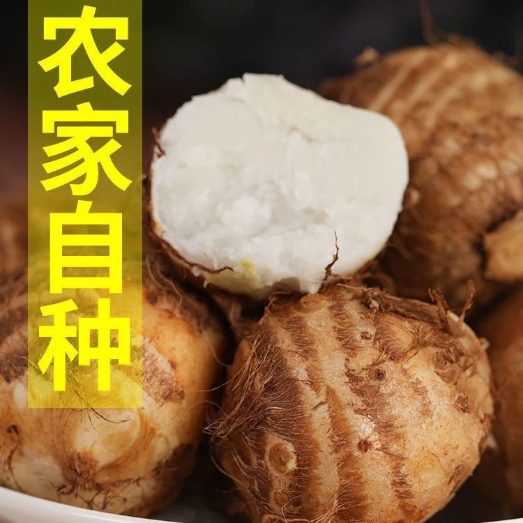 贵州高山食材农家新鲜粉糯香滑脆甜芋头芋艿窝窝头现挖现发