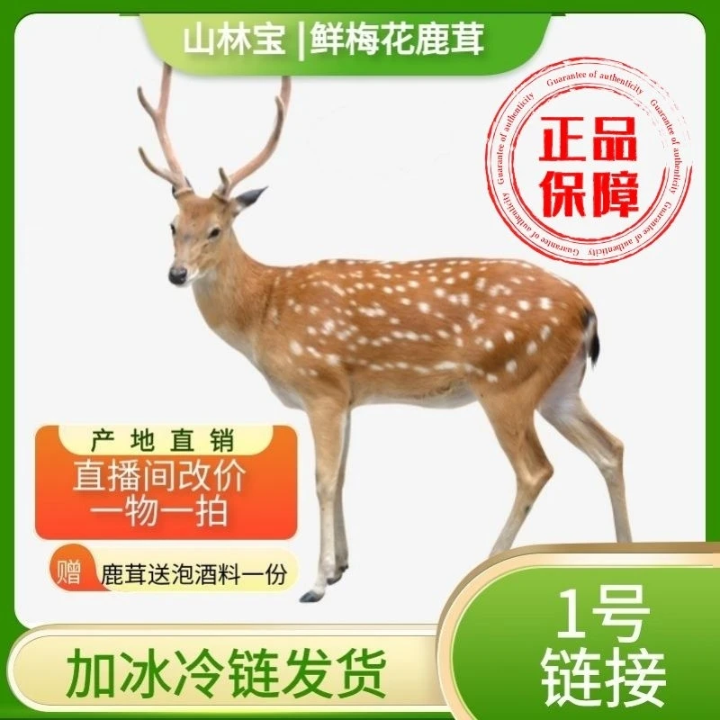【1号链接】直播间改价鹿茸