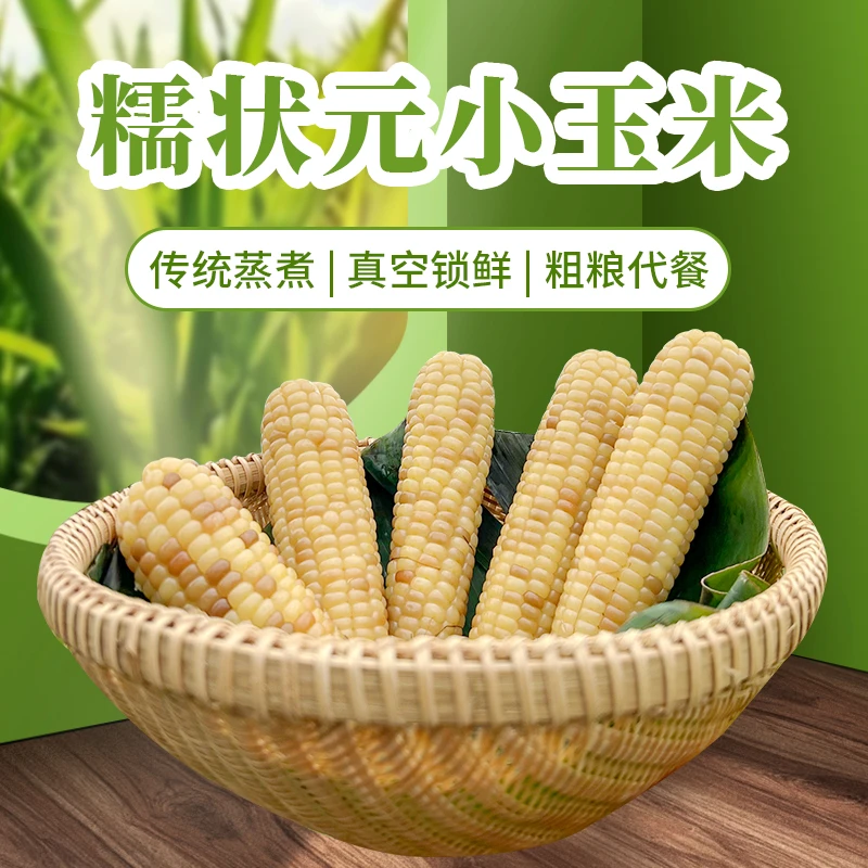 23年正宗头茬早餐香糯营养新鲜 糯状元小玉米1kg
