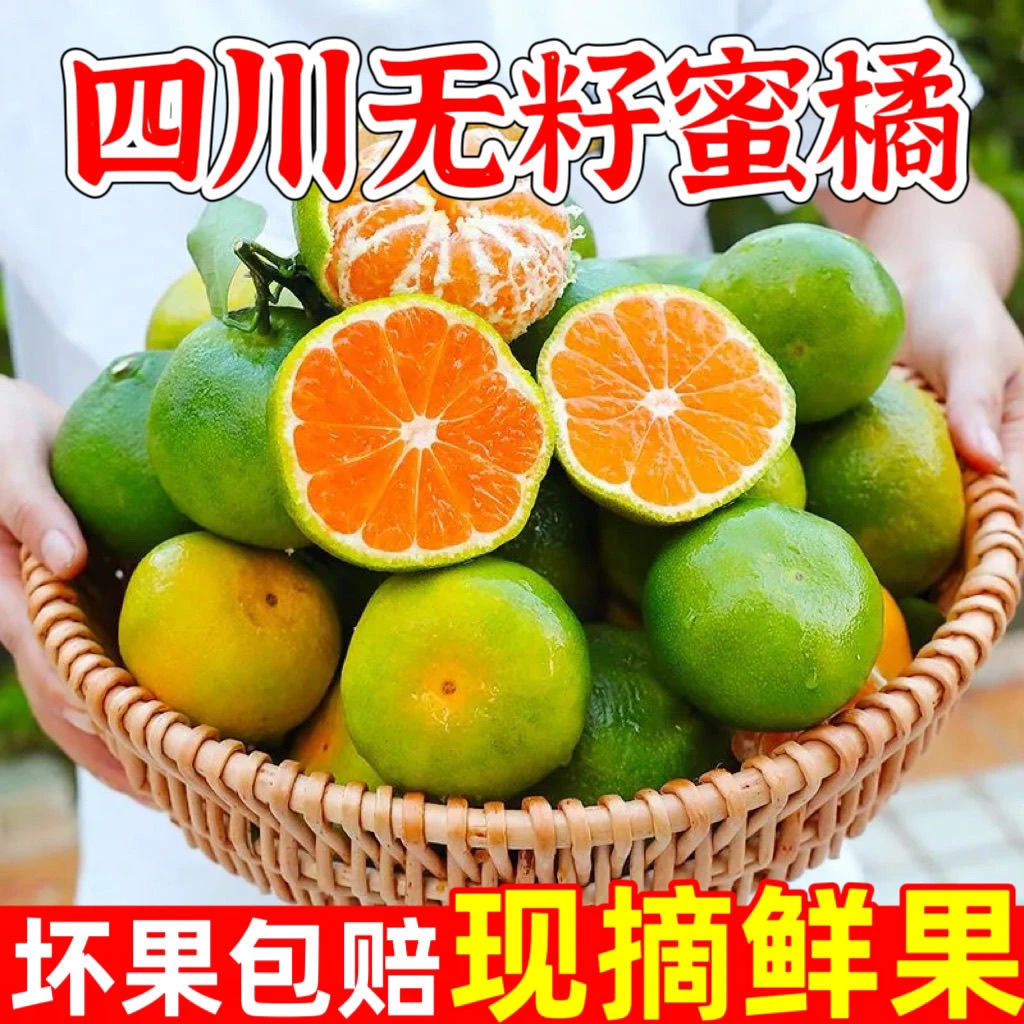 四川青皮无籽蜜橘酸甜可口皮薄多汁新鲜采摘