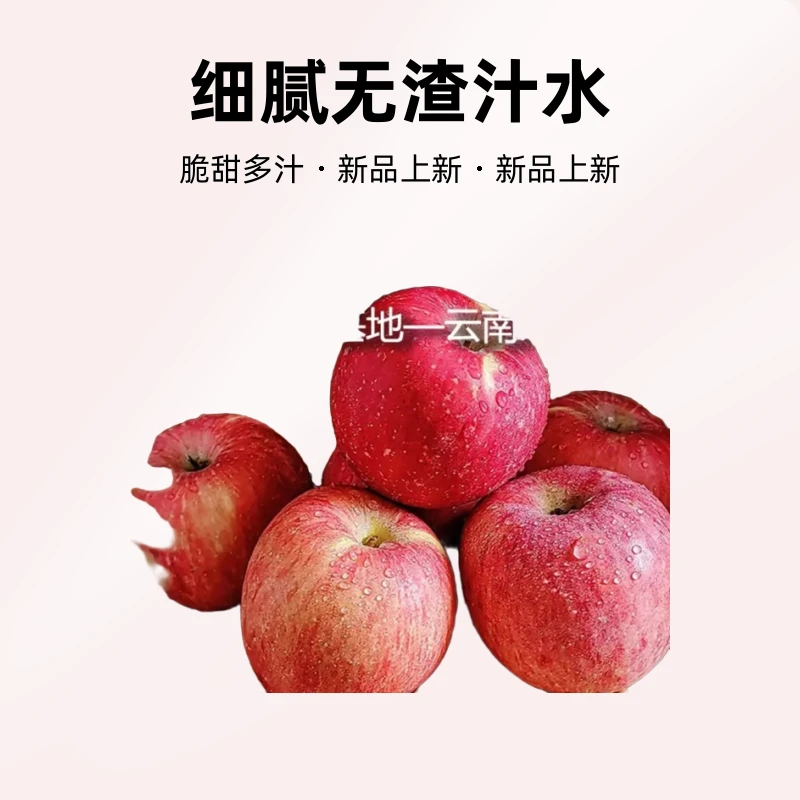 正宗苹果树树苗嫁接冰糖心昭通袋苗盆栽地栽高品发货成活率高