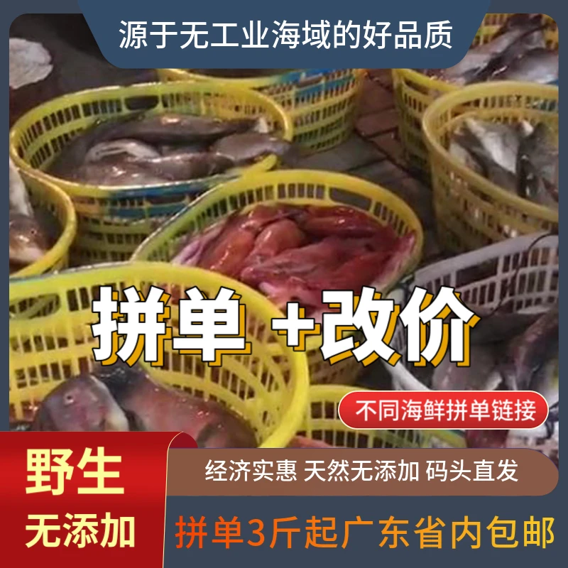 (直播现称2号) 3斤起广东省内包邮 天然海捕 海鱼帮处理 码头直发