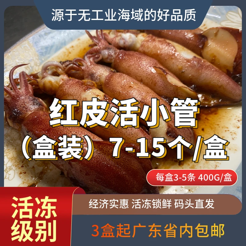 广东省内包邮-3盒2.4斤价格 红皮小管（1盒7-13个左右） 野生海捕