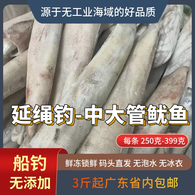 延绳钓-中大管鱿鱼（船钓作业） 3斤起广东省内包邮  天然无添加