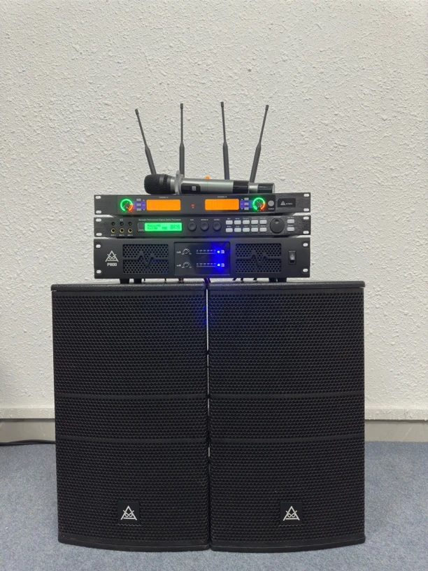 DBA S12寸专业音响套装 舞台大型演出KTV酒吧ktv音响家用k歌专用