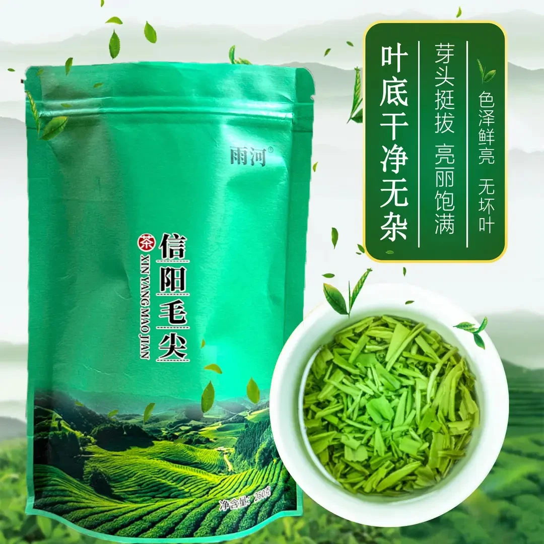 2023年信阳毛尖新茶明前高碎断芽茶半斤装z