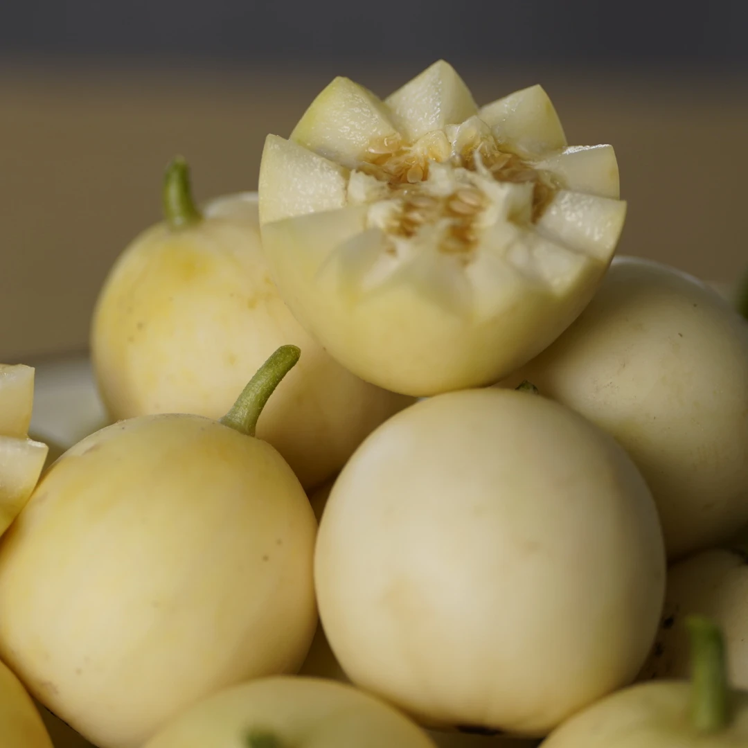 盘锦碱地香瓜脆甜小棚瓜（小瓜）13-20个