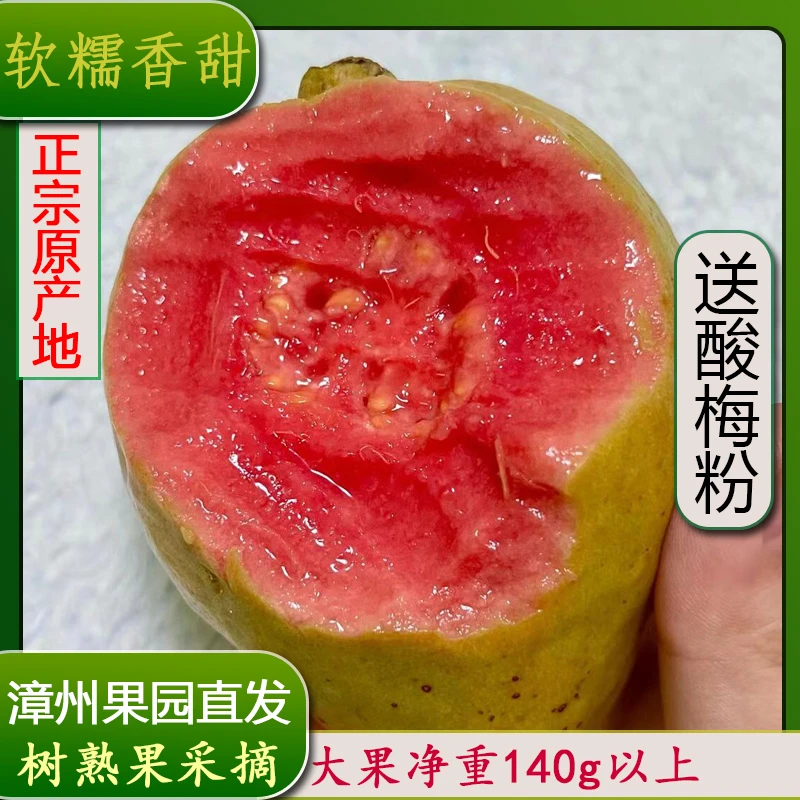 福建红心软芭乐红心番石榴，低糖低热量孕妇水果4.5斤口感软糯香甜