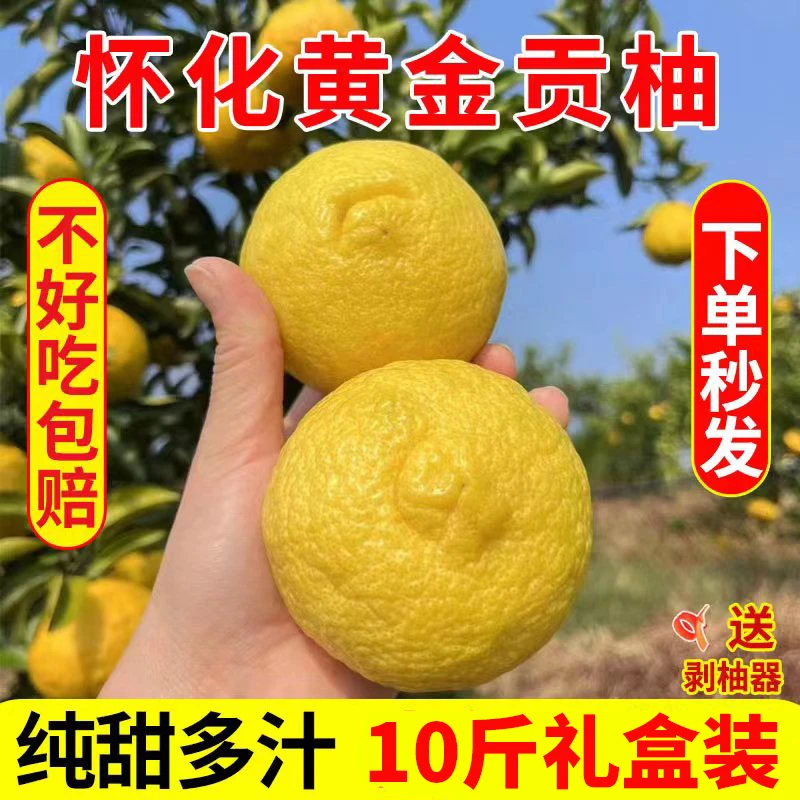湖南怀化黄金贡柚精品礼盒装10斤富硒春香柚新鲜甜橘柚原产地直发