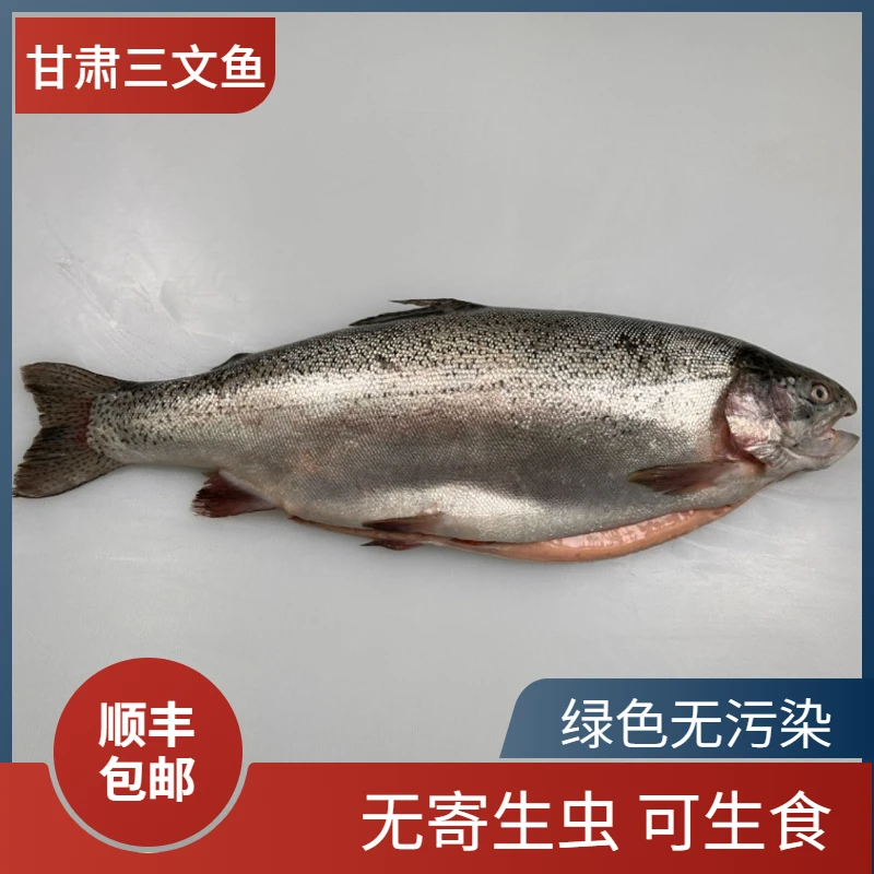 整条国产三文鱼甘肃刘家峡生食虹鳟鱼刺身4.6斤-5斤顺丰包邮40/斤