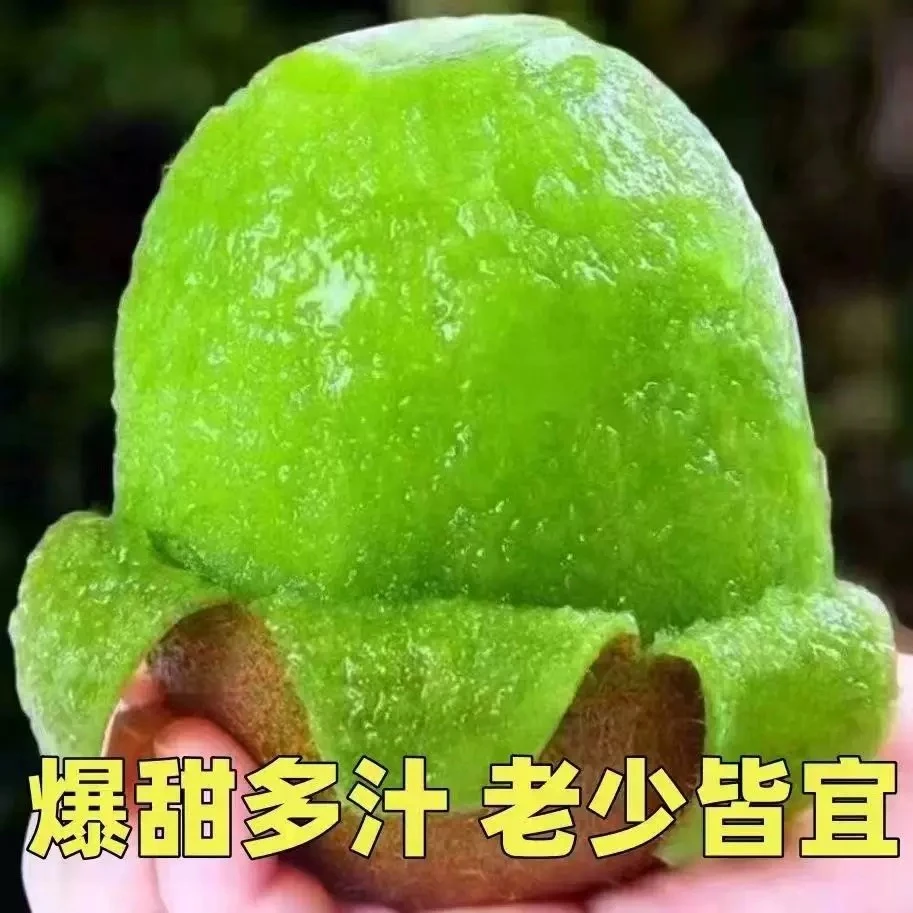 绿心猕猴桃绿心新鲜水果整箱应当季孕妇猕猴桃亚特
