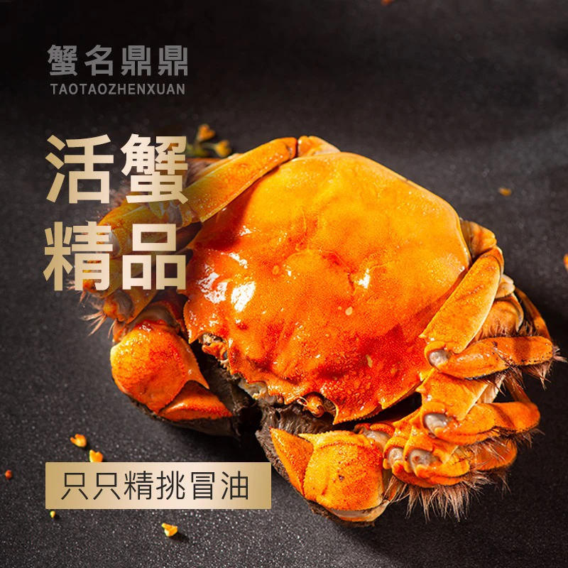 【活蟹】蟹名鼎鼎全母蟹2.3-2.6两10只装鲜活精品蟹农直发