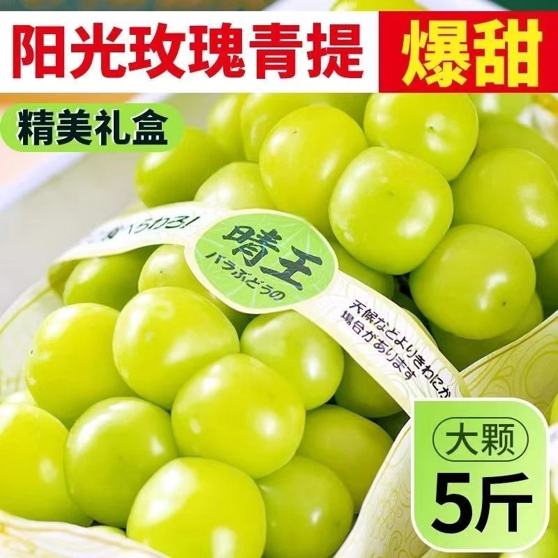 【京东礼盒装】阳光玫瑰整串晴王葡萄青提新鲜水果应季现货冷链包邮
