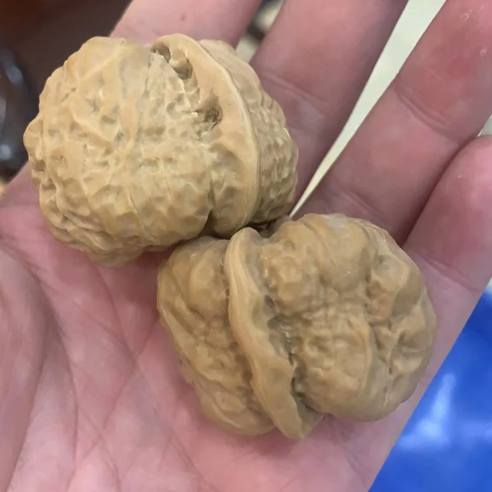 蛤蟆头核桃一对 （多样性发其一）