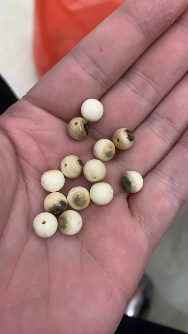 MM80猛犸牙冰咖0.8蓝眼睛多样性发其一