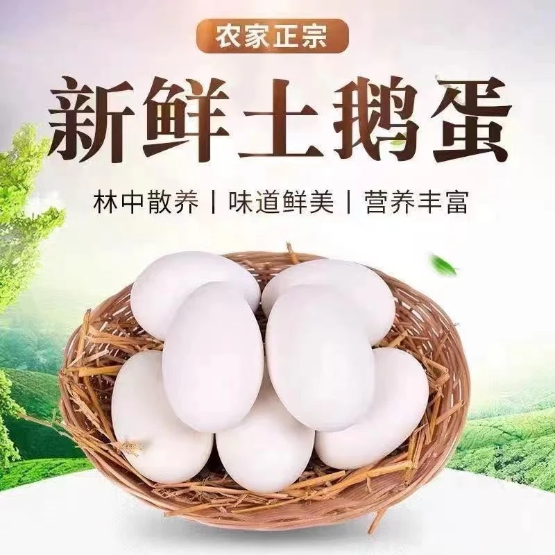 【散养鹅蛋】正宗农家双黄土鹅蛋新鲜特大土鹅蛋批发一箱孕妇宝宝
