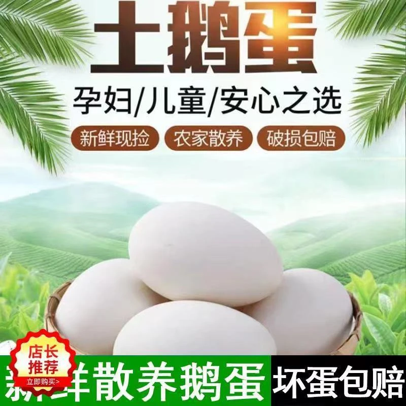 【破损包赔】正宗农家双黄土鹅蛋新鲜特大土鹅蛋批整箱孕妇宝宝
